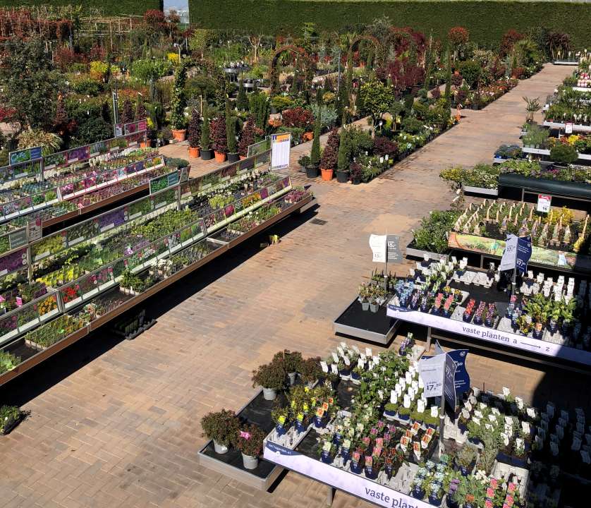 Tuinplanten | Tuincentrum Schalk | Breda