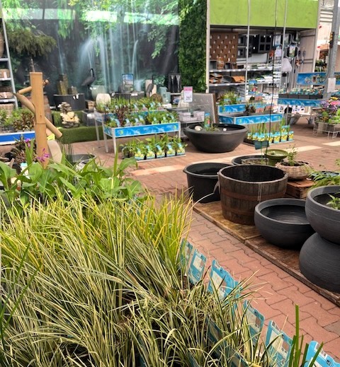 Waterplanten - Tuincentrum Schalk