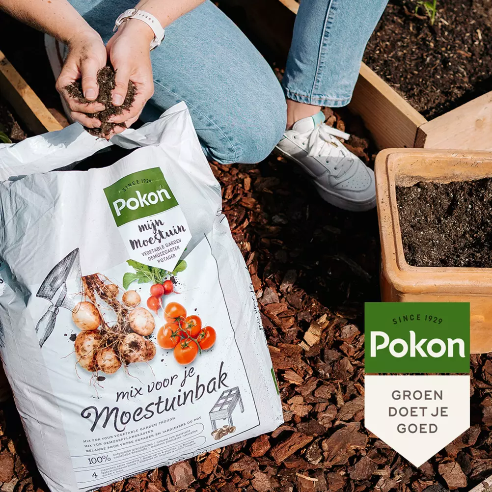 Pokon moestuinvoeding