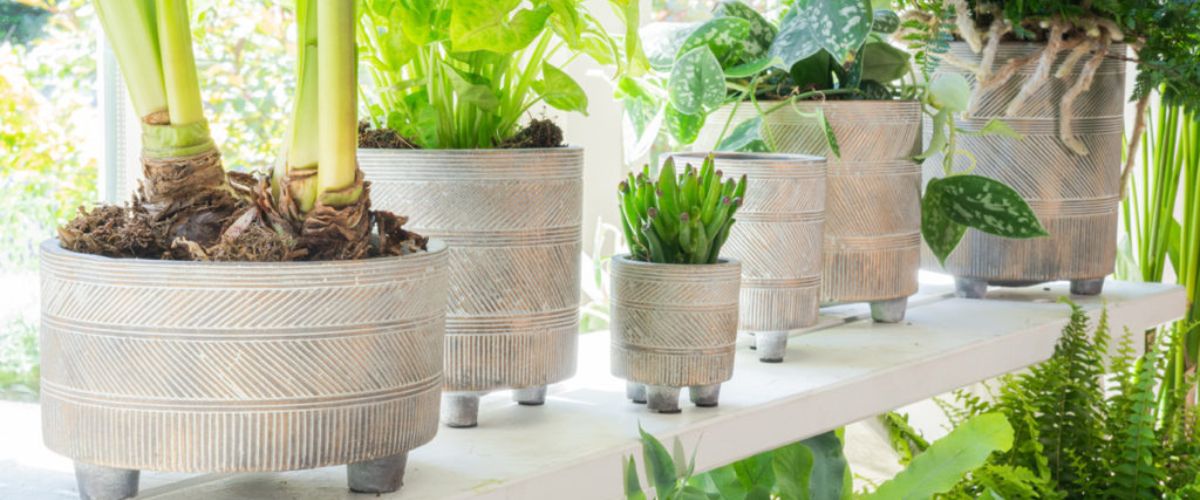 TS Collection Buitenpotten - Tuincentrum Schalk TS Collection Buitenpotten - Tuincentrum Schalk