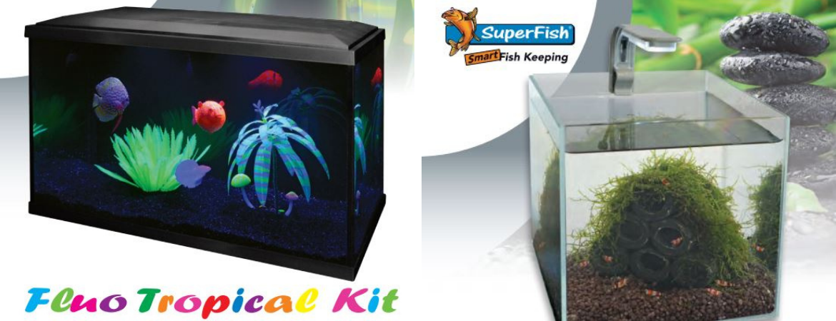 Tuincentrum Schalk | Aquarium | Aquarium planten Tuincentrum Schalk | Aquarium | Aquarium planten
