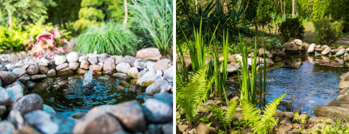 Tuincentrum Schalk| Vijverafdeling