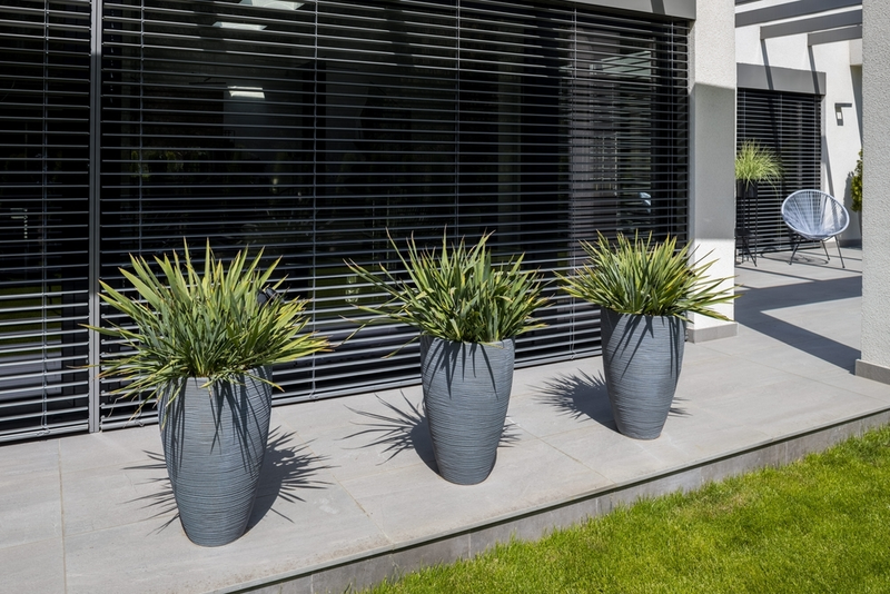 Kuip- en potplanten verzorgen
