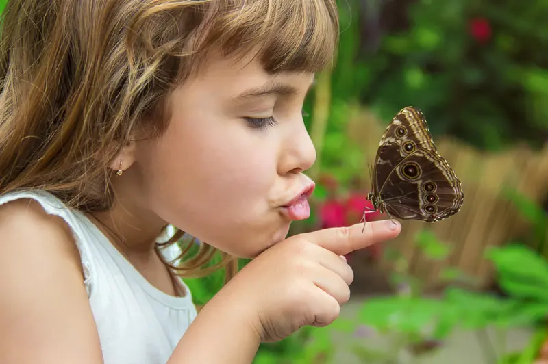 Maak een vlindervriendelijke tuin met de kinderen