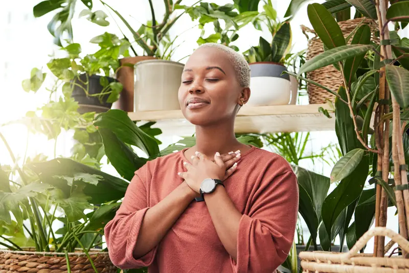 Top 5 kamerplanten voor een gezondere leefomgeving