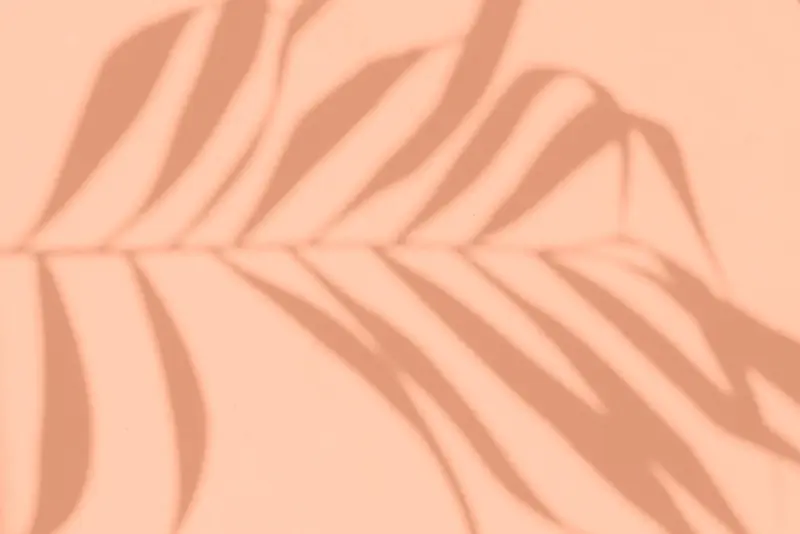 Trendkleur 2024: hoe laat je deze terugkomen in huis en tuin​?