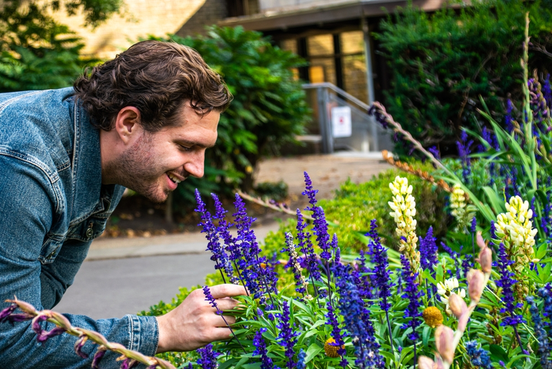 Tuintherapie: hoe werken met aarde je humeur verbetert