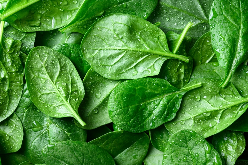 Van zaadje tot salade: tips voor de moestuin!