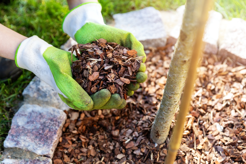 Water besparen in je tuin: slimme oplossingen voor elke tuinier