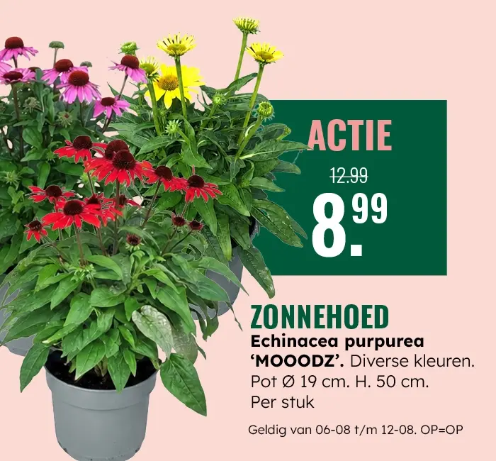 Weekaanbieding