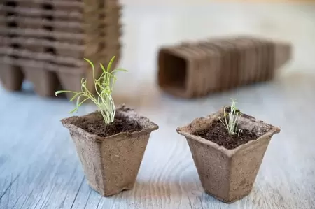 Afbreekbare potjes h5b5l5cm - afbeelding 2