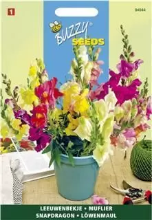 Antirrhinum majus nanum 0.5g - afbeelding 1