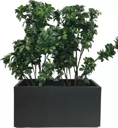 Bak vivo mat vk wiel 90cm l. black - afbeelding 2