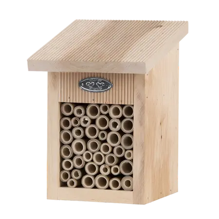 Bijenhuis in cadeaudoos  - afbeelding 1