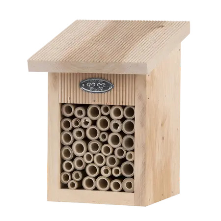 Bijenhuis in cadeaudoos l16b16h22 - afbeelding 1