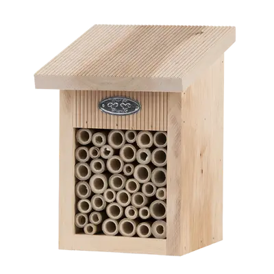 Bijenhuis in cadeaudoos l16b16h22 - afbeelding 1