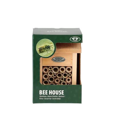 Bijenhuis in cadeaudoos l16b16h22 - afbeelding 2