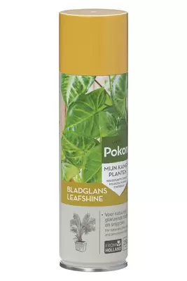 Bladglans 600ml - afbeelding 1