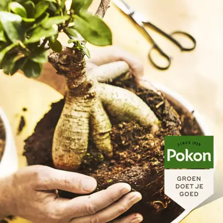 Bonsai voeding 250ml - afbeelding 3