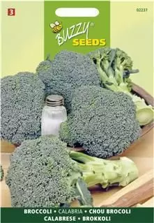 Broccoli groen calabrese 2g - afbeelding 1