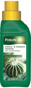 Cactus&vetplant 250ml - afbeelding 2