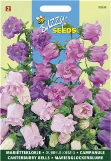 Campanula medium dubbelbloemig 0.5g - afbeelding 2