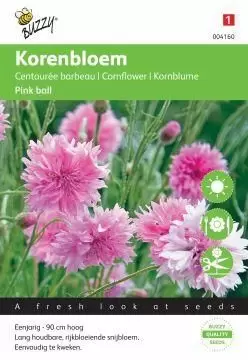 Centaurea cyanus pink ball 1g - afbeelding 1