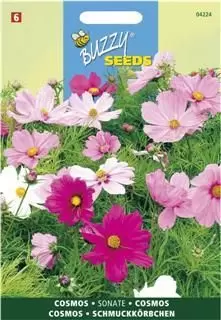 Cosmea sonate mix 0.6g - afbeelding 1