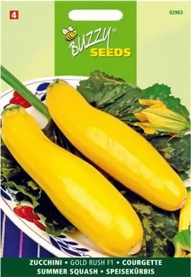 Courgette zucchini gold rush f1 2g - afbeelding 3