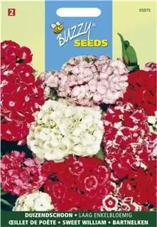 Dianthus barbatus nanus comp. 0.5g - afbeelding 1