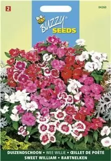 Dianthus barbatus wee willie 0.5g - afbeelding 1