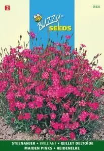 Dianthus deltoides erectus k. 0.25g - afbeelding 3