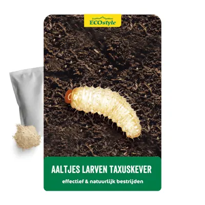 ECOstyle  Aaltjes l tegen larven taxus-kever - afbeelding 1