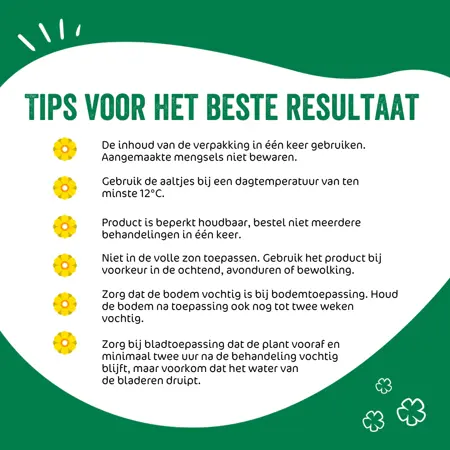 ECOstyle  Aaltjes l tegen larven taxus-kever - afbeelding 3