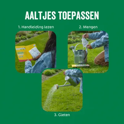 ECOstyle  Aaltjes l tegen larven taxus-kever - afbeelding 4