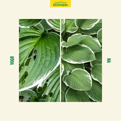 ECOstyle Escar-no slakkenbarriere 1kg - afbeelding 3