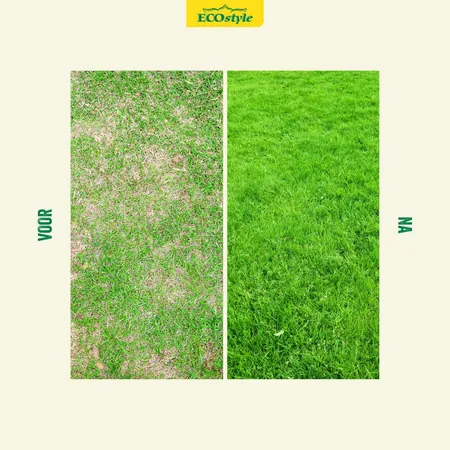 ECOstyle Graszaad versterk 100m2 - 2kg - afbeelding 2