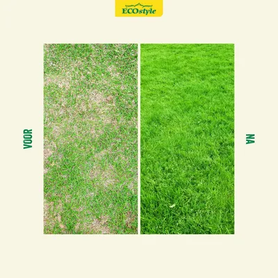 ECOstyle Graszaad versterk 100m2 - 2kg - afbeelding 2