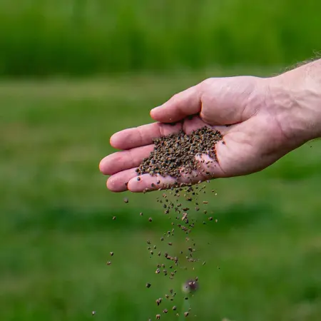 ECOstyle  Klimplanten-az 800g - afbeelding 2