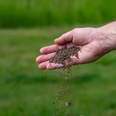 ECOstyle  Klimplanten-az 800g - afbeelding 2