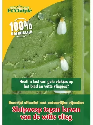 ECOstyle Sluipwesp tegen eitjes van motten