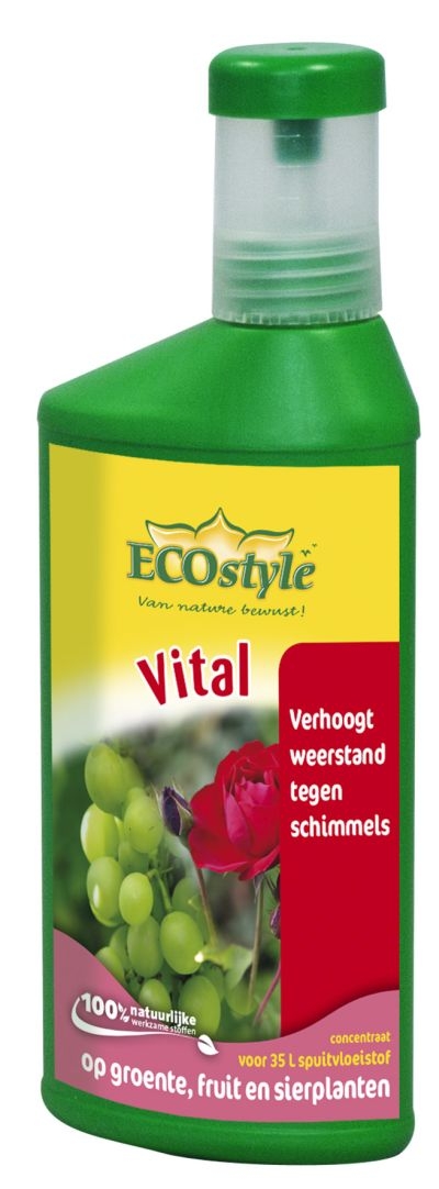 ECOstyle  Vital concentraat 250ml