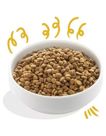 Edgard & Cooper Hond brok bio kalkoen 700g - afbeelding 2