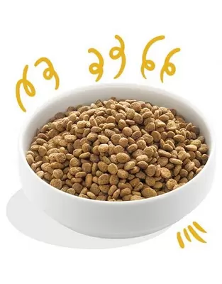 Edgard & Cooper Hond brok bio kalkoen 700g - afbeelding 2