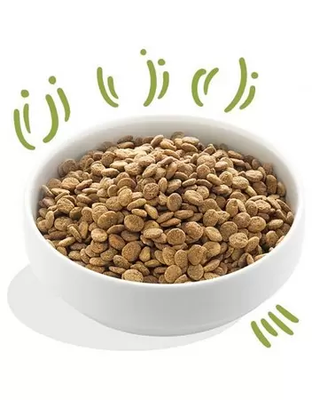 Edgard & Cooper Hond brok lam 2.5kg - afbeelding 2