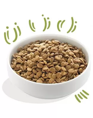 Edgard & Cooper Hond brok lam 2.5kg - afbeelding 2