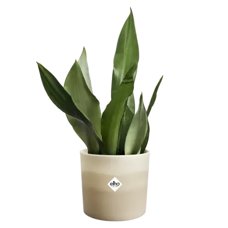 ELHO Pot colour gradient d14cm beige - afbeelding 1