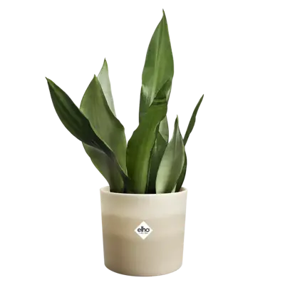 ELHO Pot colour gradient d14cm beige - afbeelding 1