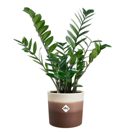 ELHO Pot colour gradient d18cm cederbrn - afbeelding 1