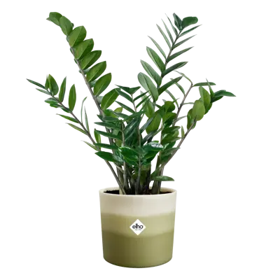 ELHO Pot colour gradient d14cm groen - afbeelding 2